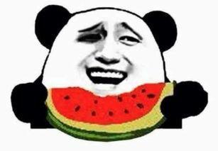 逗尔娱乐吃瓜看点在哪看,揭秘热门话题，一键掌握精彩瞬间