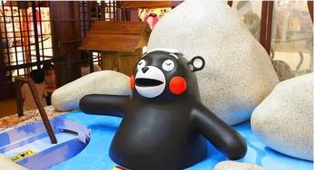 娱乐吃瓜酱熊大,娱乐界的“瓜王”传奇