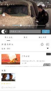 娱乐吃瓜小记百度云